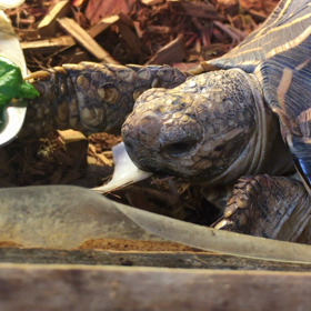 1/8 小山さん登場の画像