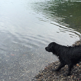 水泳部〜！の画像