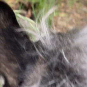 いませんでしたの画像