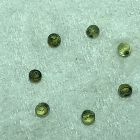 ドラゴン ボール⁉️の画像