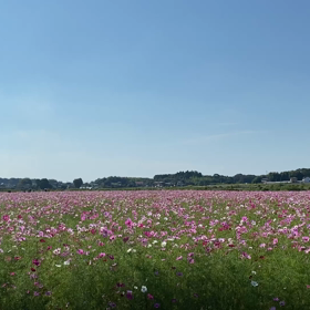 失敗も成功のうち♡の画像