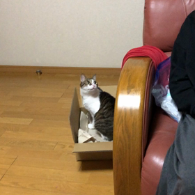 辛い思いのまま寝てしまった娘が…の画像