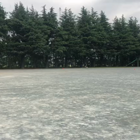 1000m １組目②の画像