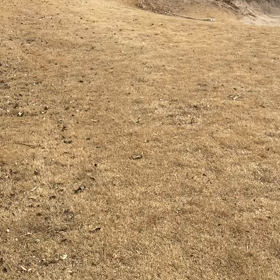 キーなくしたの画像