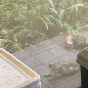 ニュースの画像