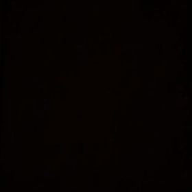 今日も朝から…の画像