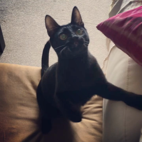 ぐるぐるぐるの画像