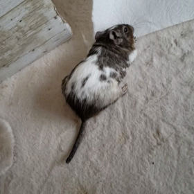 何もない幸せな日の画像