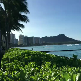 ハワイ動画の画像