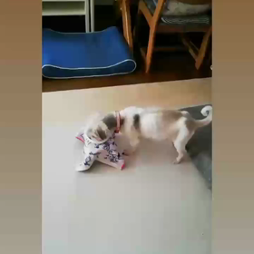 エネルギーチャージ♬の画像