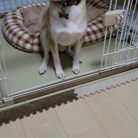 あや　行きたいんだけどの画像