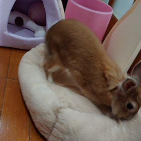 調子にのっちゃって～の画像