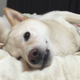 ゆきちゃん大好き♡の画像