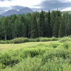 自然に癒されるの画像