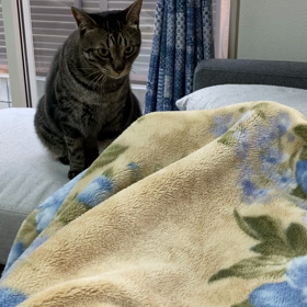 必要とされてるぅの画像