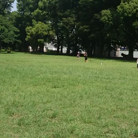 ジャベリックボール投げ練習⑥の画像