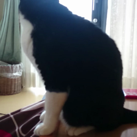 外に出たいの画像