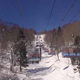 まだまだ練習不足ですの画像