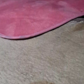 たしかにの画像