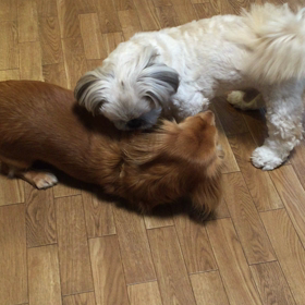 ビックラこいた‼️の画像