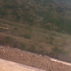 動画撮ったのでの画像