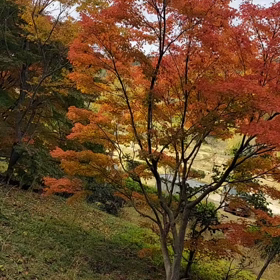 あはは(*^^*)♪の画像
