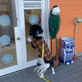 ■あいたいきもち■の画像