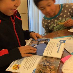 Ladybird 3 よりの画像