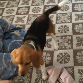 右 左 右の画像