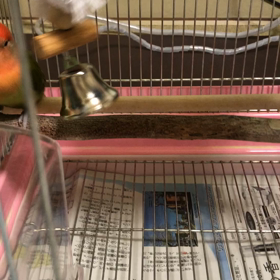 先輩から後輩への仕事の伝え方の画像