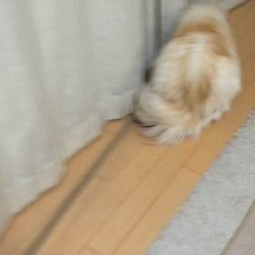 おまけぇ〜の画像