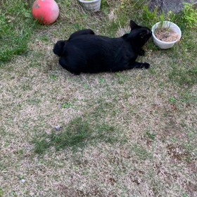 私の重い思いの画像