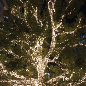 クリスマス第二弾！の画像