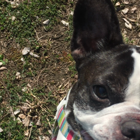 ボールで遊んだよ〜♬の画像