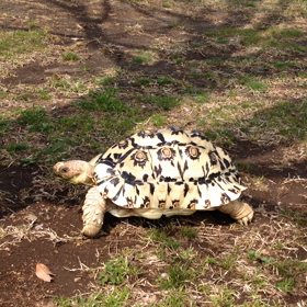 過去動画の画像