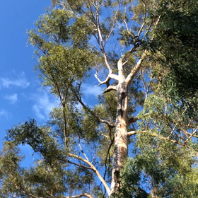 皆に平等に与えられている愛❤️の画像
