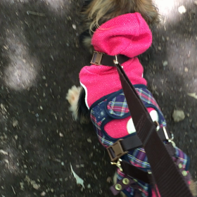 さわやかな1日の画像