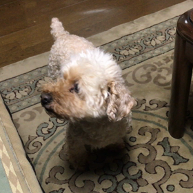 いつもの休日の画像