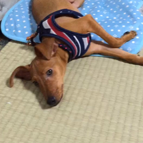 終わった・・・の画像