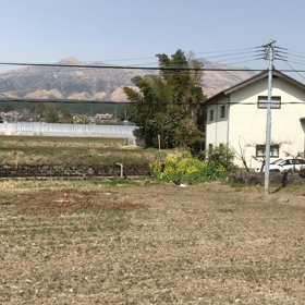 ”お花見バスツアー”の画像