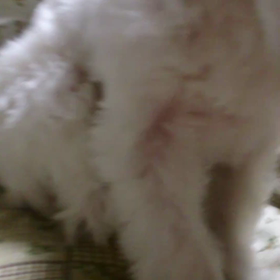 遠慮がちの画像