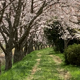ネガティブな想いや感情は悪いものじゃないの画像