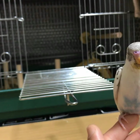 口をパクパク？病気？？の画像