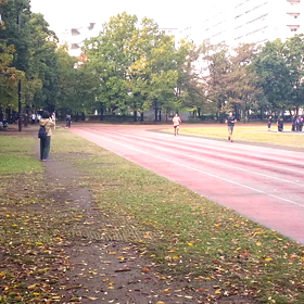 競技場練習(100m)⑤の画像