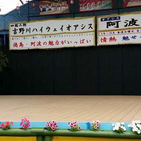 阿波おどり 6/28 もみじ連さん ムービー編 ②の画像