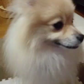 なーに？の画像