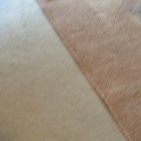 鬼ごっこの画像