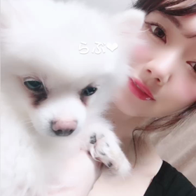 こんにちわん♡動画の画像