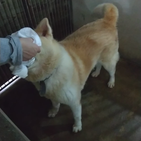 ネタに困った時は。和歌ちゃんに頼ります(笑)の画像