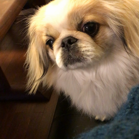 こ・て・ちゅ☆の要求？？？の画像